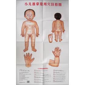 小儿推拿常用穴区挂图