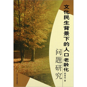 文化民生背景下的人口老龄化问题研究