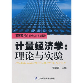 关于应用型本科院校计量经济学课程教学问题与的毕业论文格式范文