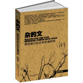 2024年印度金奈