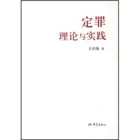定罪理论与实践