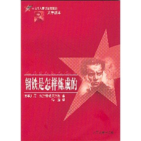 钢铁是怎样炼成的