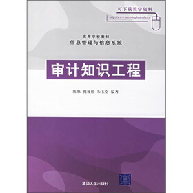 高等学校教材·信息管理与信息系统：审计知识工程