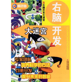 右脑开发大迷宫（橙色卷）