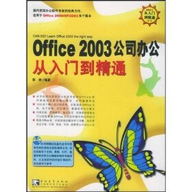 Office 2003公司办公从入门到精通（第2版）