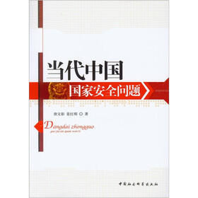当代中国国家安全问题