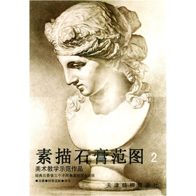 美术教学示范作品：素描石膏范图2