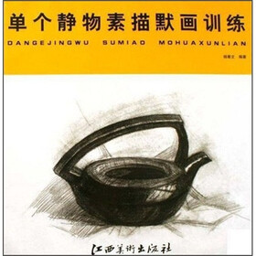 单个静物素描默画训练