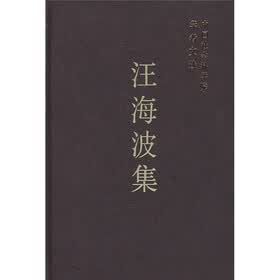汪海波集