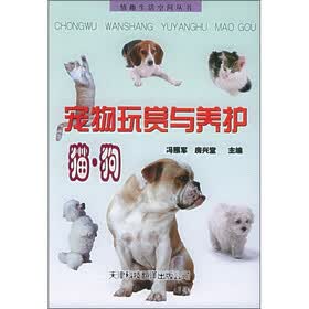 宠物玩赏与养护:猫·狗