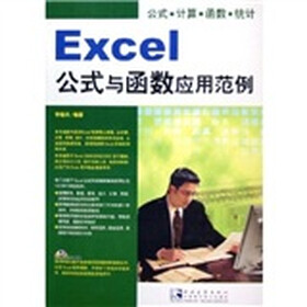 Excel公式与函数应用范例（附光盘）
