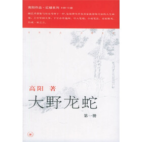 大野龙蛇（套装共3册）