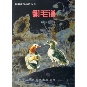 翎毛谱