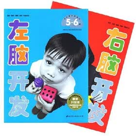 左右脑开发（5-6岁）（套装共2册）（最新升级版）