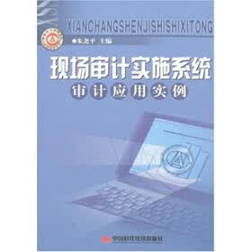 现场审计实施系统审计应用实例