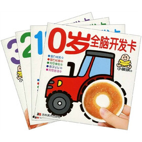 0-3岁全脑开发卡（套装全4册）