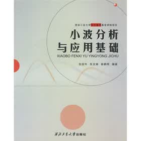 小波分析与应用基础