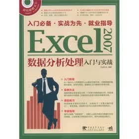 Excel 2007数据分析处理入门与实战（附光盘）
