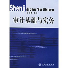 审计基础与实务