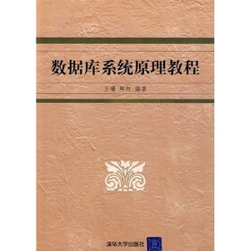 数据库系统原理教程