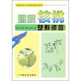 图解核桃整形修剪