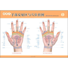 便携式手部反射区与穴位挂图（套装共4张）