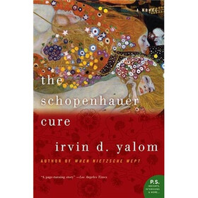The Schopenhauer Cure
