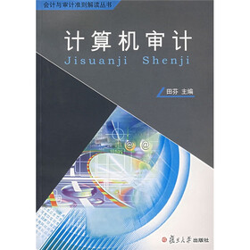 会计审计准则解读丛书：计算机审计（附光盘）