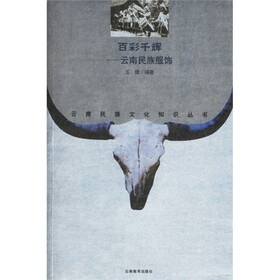 百彩千辉：云南民族服饰