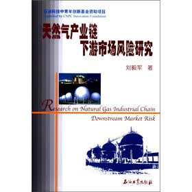 天然气产业链下游市场风险研究