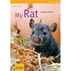 My Rat (My Pet) (My Pet (Barron's))
