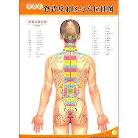 便携式脊背反射区与穴位挂图