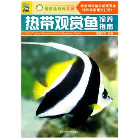 热带观赏鱼饲养指南