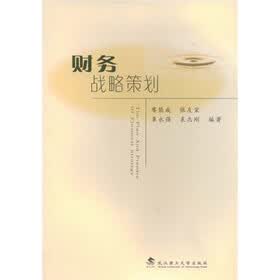 财务战略策划