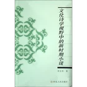 文化诗学视野中的新时期小说