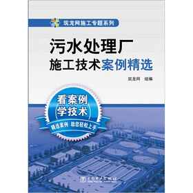 污水处理厂施工技术案例精选