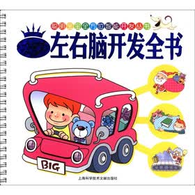 聪明宝宝全方位智能开发丛书：2岁左右脑开发全书