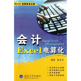 会计Excel电算化
