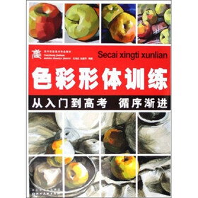 色彩形体训练：从入门到高考 循序渐进