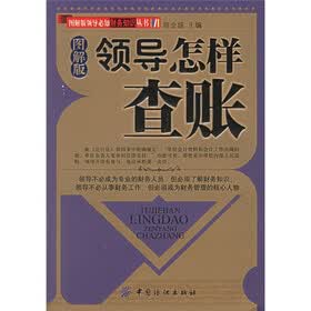 图解版 领导怎样查账