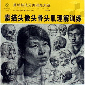 素描头像头骨头肌理解训练