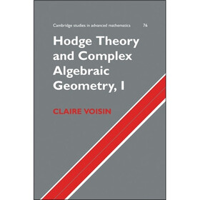Hodge Theory and Complex Algebraic Geometry I
