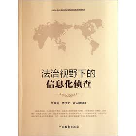 法治视野下的信息化侦查