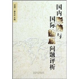 国内形势与国际热点问题评析
