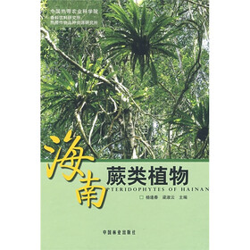 海南蕨类植物