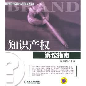 知识产权诉讼指南