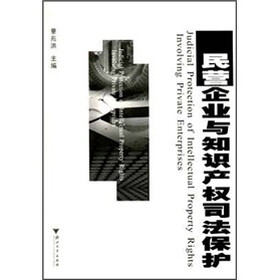民营企业与知识产权司法保护