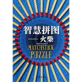 智慧拼图：火柴