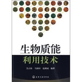 生物质能利用技术