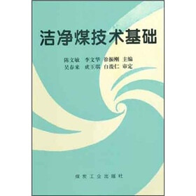 洁净煤技术基础